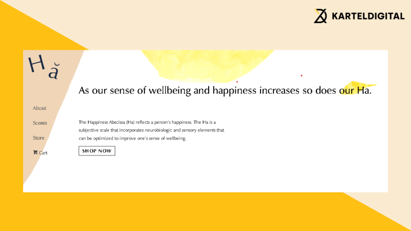 happiness wellness